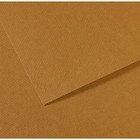 Бумага для пастели Mi-Teintes CANSON, 50 х 65 см, 1 лист, №336 Коричневый песчаный, 160 г/м2 - фото 8557845