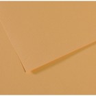 Бумага для пастели Mi-Teintes CANSON, 50 х 65 см, 1 лист, №340 Бежевый светлый, 160 г/м2 - фото 8557848