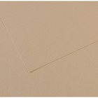 Бумага для пастели Mi-Teintes CANSON, 50 х 65 см, 1 лист, №343 Серо-бежевый, 160 г/м2 - фото 8557851