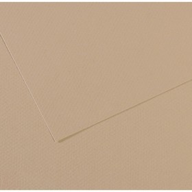 Бумага для пастели Mi-Teintes CANSON, 50 х 65 см, 1 лист, №343 Серо-бежевый, 160 г/м2