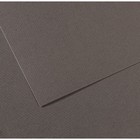 Бумага для пастели Mi-Teintes CANSON, 50 х 65 см, 1 лист, №345 Серый темный, 160 г/м2 - фото 8557854