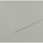 Бумага для пастели Mi-Teintes CANSON, 50 х 65 см, 1 лист, №354 Серое небо, 160 г/м2 - фото 8557860