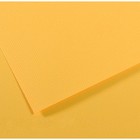 Бумага для пастели Mi-Teintes CANSON, 50 х 65 см, 1 лист, №400 Желтый канареечный, 160 г/м2 - фото 8557866