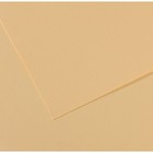 Бумага для пастели Mi-Teintes CANSON, 50 х 65 см, 1 лист, №407 Кремовый, 160 г/м2 - фото 8557869