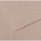 Бумага для пастели Mi-Teintes CANSON, 50 х 65 см, 1 лист, №426 Серый лунный камень, 160 г/м2 - фото 8557872