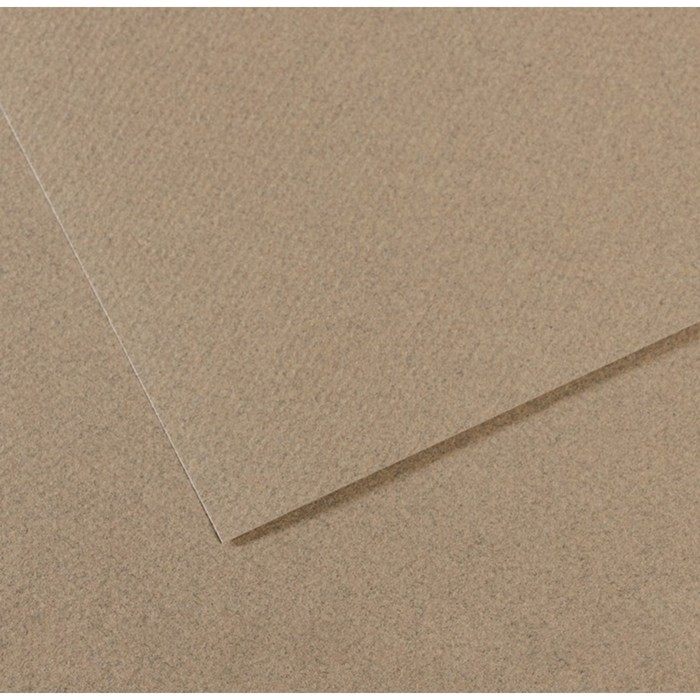 Бумага для пастели Mi-Teintes CANSON, 50 х 65 см, 1 лист, №429 Серый фетр, 160 г/м2