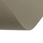 Бумага для пастели Mi-Teintes CANSON, 50 х 65 см, 1 лист, №429 Серый фетр, 160 г/м2 - Фото 3