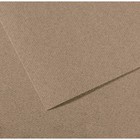 Бумага для пастели Mi-Teintes CANSON, 50 х 65 см, 1 лист, №431 Серый стальной, 160 г/м2 - фото 8557878