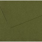 Бумага для пастели Mi-Teintes CANSON, 50 х 65 см, 1 лист, №448 Зеленый плющ, 160 г/м2 - фото 8557881