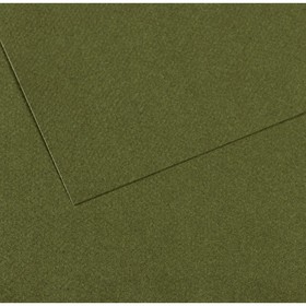 Бумага для пастели Mi-Teintes CANSON, 50 х 65 см, 1 лист, №448 Зеленый плющ, 160 г/м2