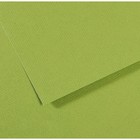 Бумага для пастели Mi-Teintes CANSON, 50 х 65 см, 1 лист, №475 Зеленое яблоко, 160 г/м2 - фото 8557887