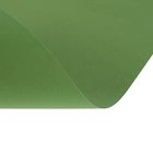 Бумага для пастели Mi-Teintes CANSON, 50 х 65 см, 1 лист, №475 Зеленое яблоко, 160 г/м2 - Фото 2