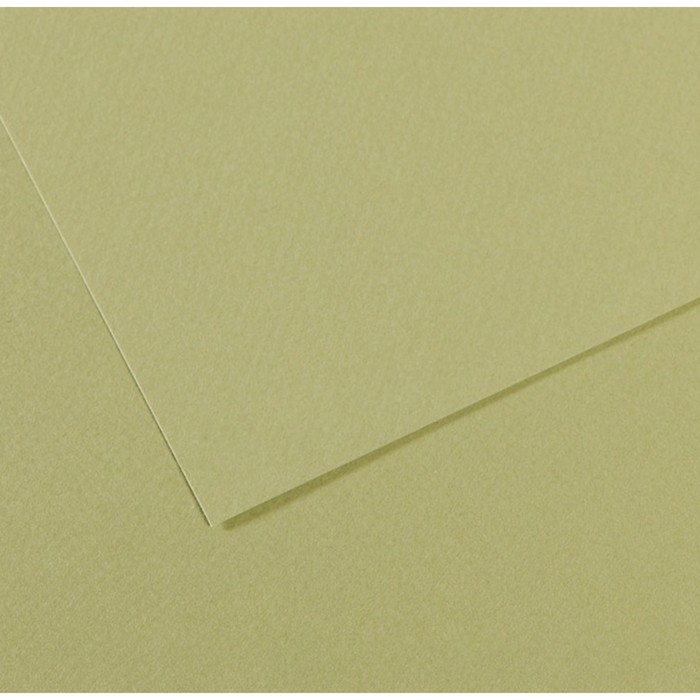 Бумага для пастели Mi-Teintes CANSON, 50 х 65 см, 1 лист, №480 Зеленый светлый, 160 г/м2