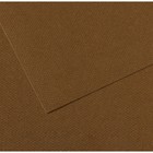 Бумага для пастели Mi-Teintes CANSON, 50 х 65 см, 1 лист, №501 Коричневый табак, 160 г/м2 - фото 8557896