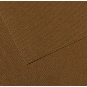 Бумага для пастели Mi-Teintes CANSON, 50 х 65 см, 1 лист, №501 Коричневый табак, 160 г/м2