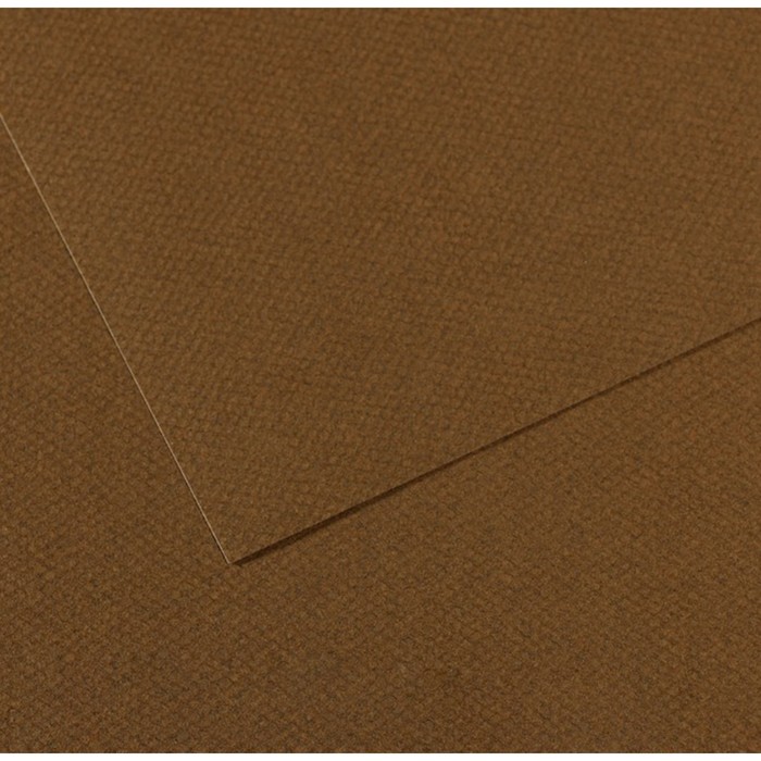 Бумага для пастели Mi-Teintes CANSON, 50 х 65 см, 1 лист, №501 Коричневый табак, 160 г/м2