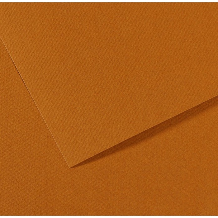 Бумага для пастели Mi-Teintes CANSON, 50 х 65 см, 1 лист, №502 Коричневый Гавана, 160 г/м2 - Фото 1