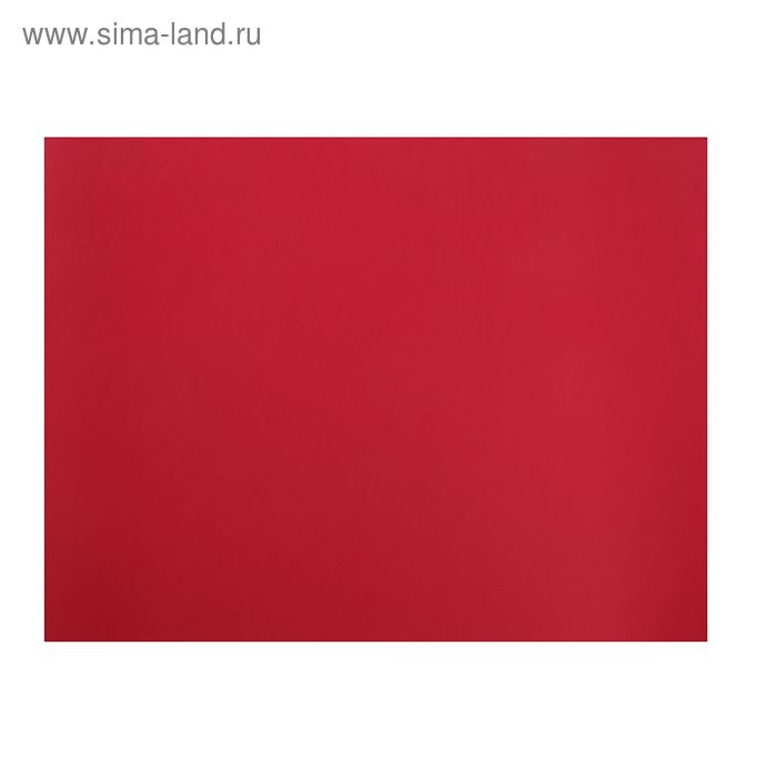Бумага для пастели 500*650 Canson Mi-Teintes 1 л 160 г/м2 №505 Красный яркий 200321204 - Фото 1