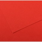 Бумага для пастели Mi-Teintes CANSON, 50 х 65 см, 1 лист, №506 Красный мак, 160 г/м2 - фото 8557902