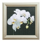 Картина "Белая орхидея на чёрном" 21*21см рамка микс - Фото 1