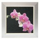 Картина "Орхидея на чёрном" 23*23 см рамка микс - Фото 1