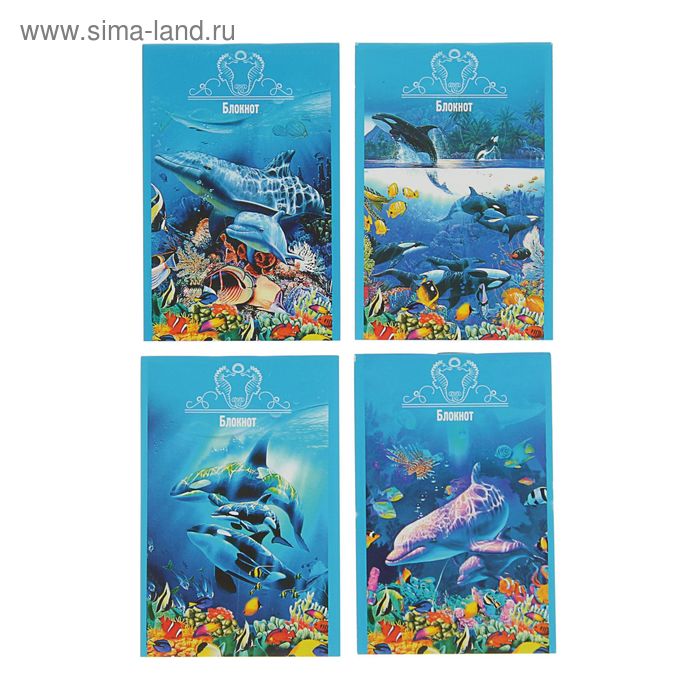 Блокнот А7, 32 листа на скрепке "Дельфины и касатки", обложка мелованный картон, МИКС - Фото 1