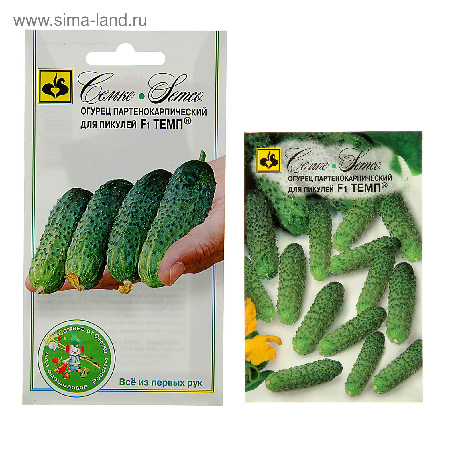 Огурцы темп отзывы фото описание Огурцы темп отзывы фото описание