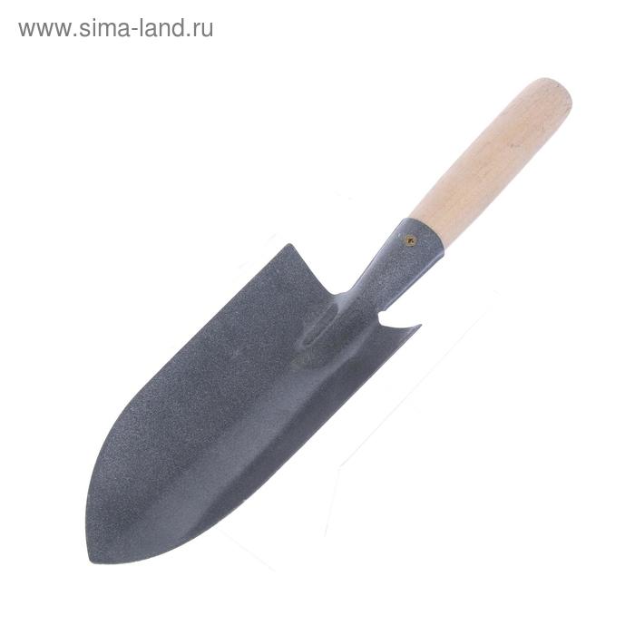 Совок посадочный, длина 34 см, ширина 8.5 см, деревянная ручка, МИКС - Фото 1