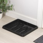 Лоток для обуви, 43.5×39 см, пластик, чёрный - Фото 2