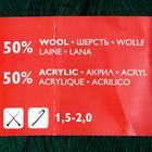 Пряжа Lidiya (ЛидияПШ) 50% шерсть, 50% акрил 1613м/100гр (62 т.зеленый) - Фото 4