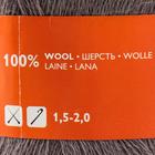 Пряжа LidiyaWool (ЛидияЧШ) 100% шерсть 1613м/100гр (94012 имбирь_v2) - Фото 4