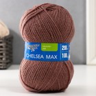 Пряжа Chelsea MAX (Челси max) 50% шерсть англ.кроссбред, 50% акрил 200м/100гр (621 какао) 2445986 - фото 8559116