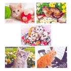 СПЕЦЦЕНА Карманный календарь "Коты" 2020 год, МИКС, 10 х 7 см - Фото 1