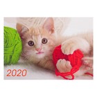 СПЕЦЦЕНА Карманный календарь "Коты" 2020 год, МИКС, 10 х 7 см - Фото 5