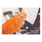 СПЕЦЦЕНА Карманный календарь "Коты" 2020 год, МИКС, 10 х 7 см - Фото 7