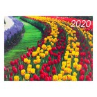 Карманный календарь "Цветы" 2020 год, МИКС, 10 х 7 см - Фото 4
