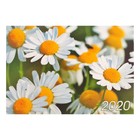 Карманный календарь "Цветы" 2020 год, МИКС, 10 х 7 см - Фото 7