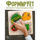 Рамка - вкладыш «Больше - меньше. Овощи», развивающая доска Сегена - Фото 4