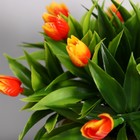 Бонсай в горшке "Тюльпаны" 14х16 см, микс - Фото 2