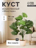 Монстера де-люкс