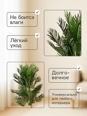 Пальма 2