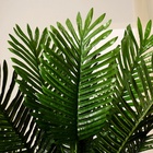 Дерево искусственное «Пальма финиковая», h=130 см - Фото 4