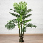 Дерево искусственное "Пальма финиковая" 150 см - фото 2048975