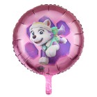 Шар фольгированный 18" «Щенячий патруль: Скай и Эверест» - Фото 1