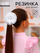 Полосатик 1