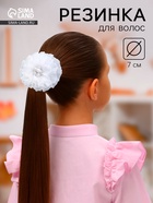 Полосатик 3