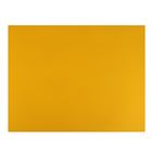 Бумага для пастели 500x650 мм Fabriano Tiziano №44, 1 лист, 160 г/м², золото - Фото 1