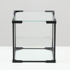 Аквариум «Куб», 16 литров, 25×25×25 см - Фото 2