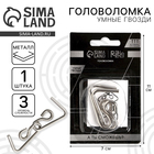 Головоломка металлическая «Умные гвозди» №13, на блистере - Фото 1