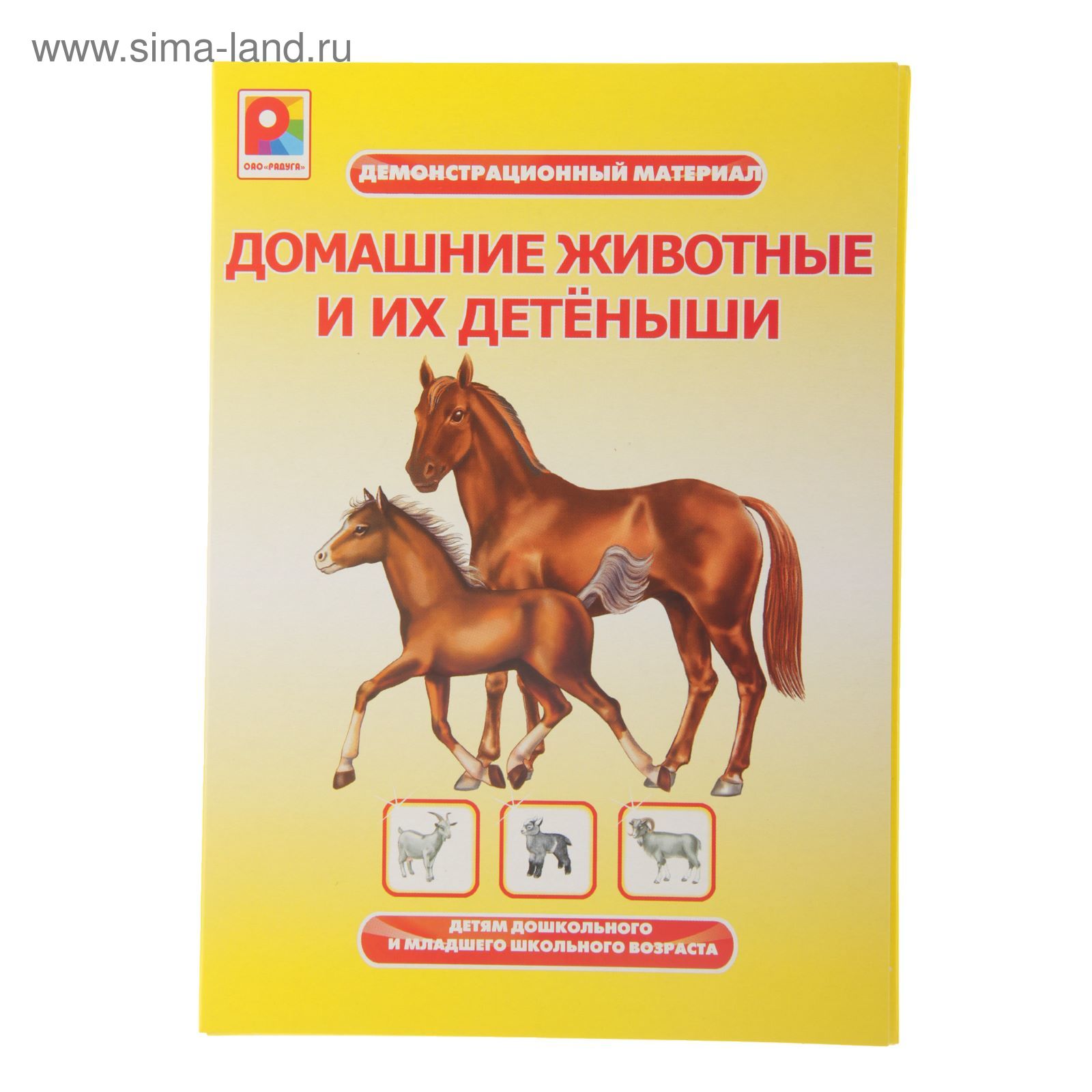 Животные домашние и их детеныши